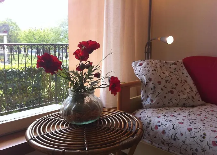 Geranio דומאסו